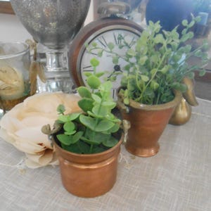 May include: Two small copper-colored pots filled with green plants. One pot is cylindrical with small handles, the other is a flared shape. A vintage clock and other decorative items are in the background.