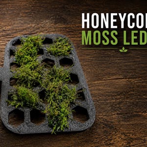 May include: A black honeycomb moss ledge featuring a textured, hexagonal grid pattern with patches of vibrant green moss growing through the openings. A small black suction cup is attached to the side. The text HONEYCOMB MOSS LEDGE is visible.