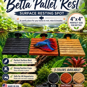 May include: Three square Betta Pallet Rest platforms measuring 4 inches by 4 inches, featuring a wood-plank texture. Available in black, driftwood brown, and natural wood colors, each platform includes a black suction cup for aquarium attachment.