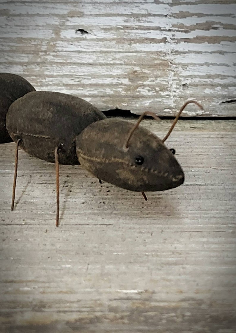 Pu&ograve; includere: Una formica di stoffa marrone con gambe e antenne di filo metallico. La formica &egrave; seduta su una superficie di legno chiaro.