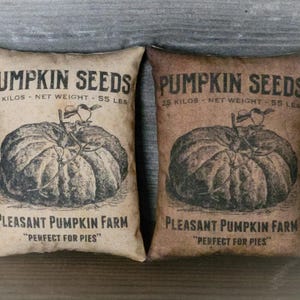 May include: Two brown burlap pillow covers with a vintage design featuring a pumpkin and the text "Pumpkin Seeds 25 Kilos - Net Weight - 55 Lbs. Pleasant Pumpkin Farm "Perfect for Pies""