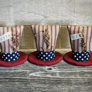 May include: Three decorative patriotic top hats. Each hat features a red and tan striped pattern, a blue band with white stars, and a red base. One hat has a tag that reads "1776", and another reads "USA".