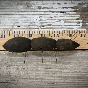 Pu&ograve; includere: Una formica di stoffa nera con gambe e antenne di filo metallico. La formica &egrave; lunga circa 12,7 cm e viene misurata contro un righello di legno.