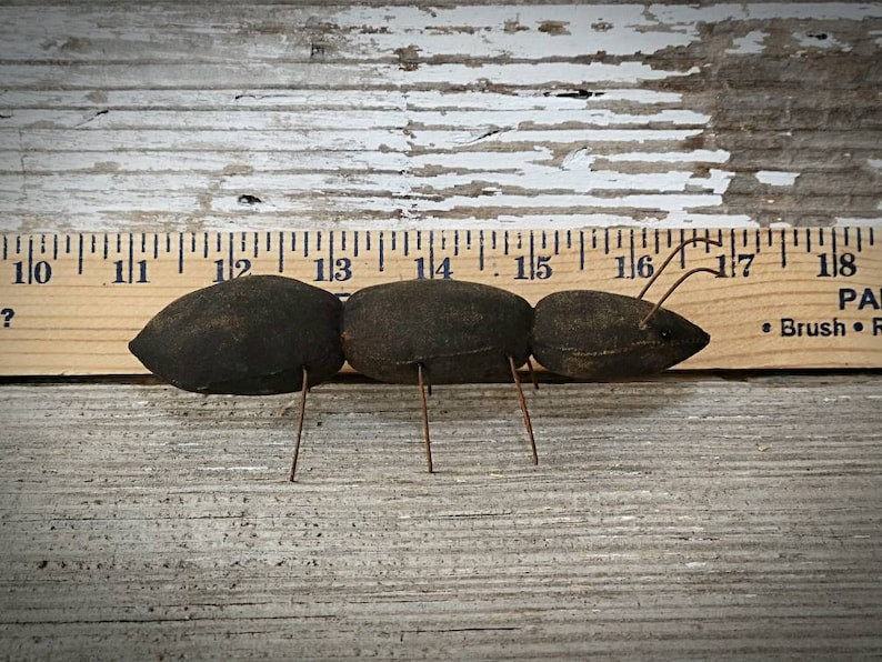 Pu&ograve; includere: Una formica di stoffa nera con gambe e antenne di filo metallico. La formica &egrave; lunga circa 12,7 cm e viene misurata contro un righello di legno.