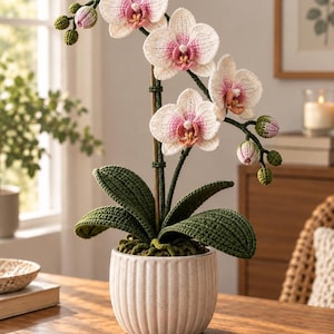Pode incluir: Uma orquídea de crochê com pétalas brancas e rosas com centros amarelos, folhas verde-escuras e vários botões fechados num caule. A planta está num vaso de cerâmica redondo, de cor branco-sujo, com estrias verticais e pintas.