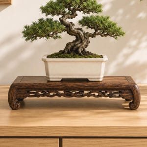 May include: A bonsai tree in a white rectangular pot sits on a dark brown, intricately carved wooden stand. The bonsai has green foliage and a twisted trunk. The stand has curved edges and decorative cutouts, showcasing a blend of nature and craftsmanship.