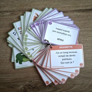 Animaux de la Savane | Jeu éducatif 3-5 ans | Devinettes, Questions & Vrai/Faux | Activité Montessori | Cartes éducatives enfant