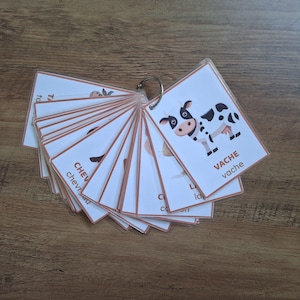 Peut inclure: Un ensemble de cartes éducatives plastifiées reliées par un anneau métallique. Chaque carte blanche présente une illustration colorée de dessin animé d'un animal et le nom correspondant imprimé en majuscules et minuscules, comme VACHE vache.