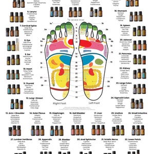 May include: A foot reflexology chart with an oil use guide, featuring diagrams of feet with labeled reflex points. Essential oil bottles are displayed next to each reflex point, with the names of the oils listed.