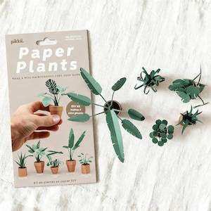 Pode incluir: Um kit de plantas de papel DIY da marca Pikkii numa embalagem de cartão bege com o texto Paper Plants, Make a mini maintenance-free desk garden e Kit de plantes en papier DIY. Estão expostas cinco pequenas plantas de papel montadas.