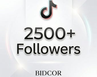2500+ TikTok-volgers | Service voor snelle groei van sociale media | Echt ogende TikTok-boost