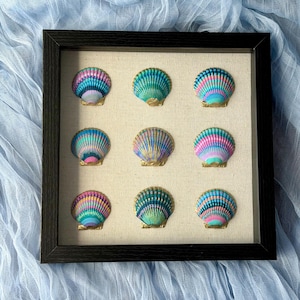 May include: A square black shadow box frame containing nine individual scallop shells arranged in a three-by-three grid. Each shell is painted with vibrant, multi-colored stripes in shades of pink, blue, teal, and purple, with gold-painted edges.