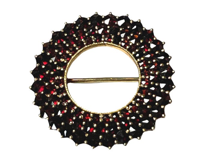 Vintage Garnet Circle Pin, Bohemian Cut Garnet Circle Pin, Vintage Circle Pin, Vintage Garnet Brooch, Garnet Circle Brooch