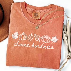 May include: A terracotta-colored short-sleeve t-shirt featuring a white graphic print of pumpkins and autumn leaves with the text "choose kindness" written in a cursive font. The shirt has a crew neckline and a Comfort Colors brand label.