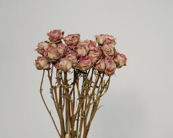 Dried roses,  purple（As shown in the figure） Home decorations, holiday gifts.