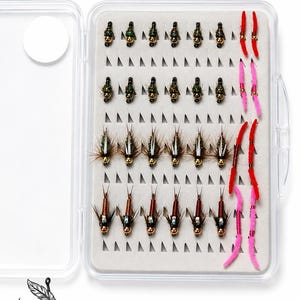 May include: A clear plastic fly fishing tackle box containing an assortment of twenty-four artificial fishing flies arranged in four rows. The flies feature gold beads, dark feathers, and colourful synthetic materials. The logo Hook & Feather is visible.