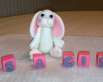 Cute Bunny with Baby Block Letters Cake Topper