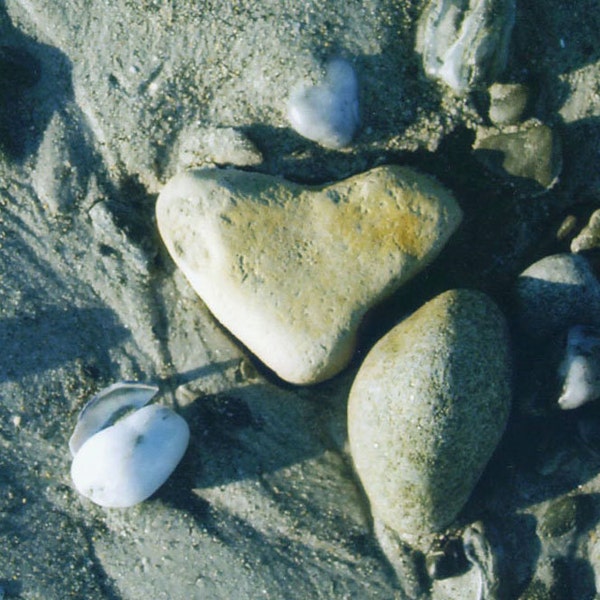 Beach Stones  (BIRTHDAY/UNIQUENESS)/Heart Rock/Beach/Photo card with quote/Humorous/Handmade Blank card and envelope/Maine team/Maine made