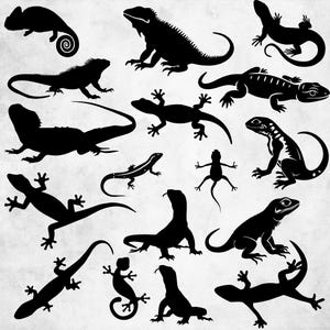 May include: A collection of black silhouettes featuring various lizard species in different poses, including geckos, iguanas, and chameleons. The graphic set displays diverse reptile shapes with distinct tail curves, limb positions, and body profiles arranged on a light background.