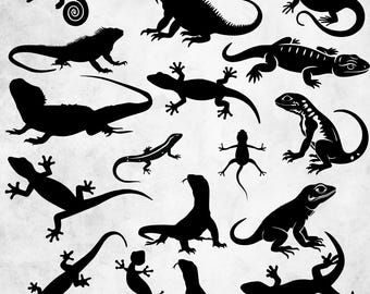 Lizard SVG Bundle, Cute Lizard PNG Clipart, Funny Lizard SVG, Gecko Svg, Reptile Lover Gift Cricut Silhouette Download