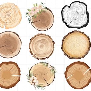 May include: A collection of nine circular wood slice illustrations featuring various natural grain patterns, textures, and colors. Some slices are decorated with watercolor floral or cotton accents, while one is a black and white line drawing.