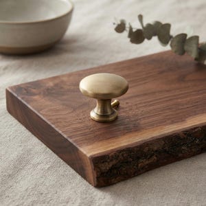 May include: A round cabinet knob with a brushed brass finish. The knob features a smooth, slightly domed top surface and a tapered base that connects to a short, cylindrical stem. The metal has a warm, muted gold tone with subtle texture.