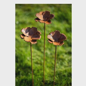 Può includere: Tre sculture di fiori in metallo arrugginito con petali dettagliati e lunghi steli. I fiori hanno una finitura marrone e sono ambientati su uno sfondo di erba verde. Questi picchetti decorativi da giardino aggiungono un tocco naturale agli spazi esterni.