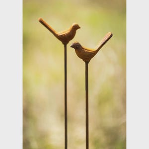 May include: Two rusty brown metal bird garden stakes. Each bird has a simple, stylized design with a long, thin stake for placement in the ground. The birds are facing opposite directions, adding visual interest to any outdoor space.