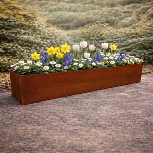 Op de afbeelding: Een rechthoekige, verweerde metalen plantenbak gevuld met een verscheidenheid aan kleurrijke lentebloemen. Gele narcissen, witte tulpen, blauwe druifhyacinten en kleine witte madeliefjes creëren een levendige weergave. De plantenbak staat op een stenen oppervlak.