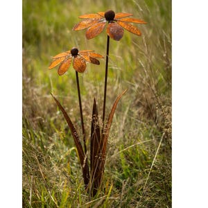 Op de afbeelding: Twee roestige metalen bloemensculpturen, die lijken op zonnehoeden, met grote bloemblaadjes en donkerbruine centra, staan in een veld met hoog gras. De bloemen hebben lange stelen en voegen een vleugje rustieke charme toe aan elke tuin. De hoogte van de bloemen is ongeveer 100 cm.
