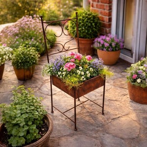 May include: A rustic outdoor scene features a metal chair planter filled with colorful flowers, surrounded by potted plants. The chair has a decorative back and holds pink, purple, and white blooms. Other pots contain green foliage and flowering plants, creating a vibrant garden display.