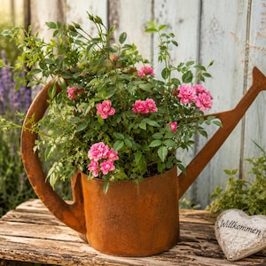 Peut inclure: Un arrosoir en métal brun rouillé et patiné servant de jardinière, rempli d'un rosier vert luxuriant aux petites fleurs roses éclatantes. À côté de l'arrosoir se trouve une pierre en forme de cœur avec le mot Willkommen gravé dessus.