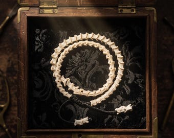 May include: A coiled necklace made of off-white, segmented vertebrae bones arranged in a circular pattern. The bone segments are connected by a thin black cord, with two individual vertebrae pieces hanging from the ends of the black cord.