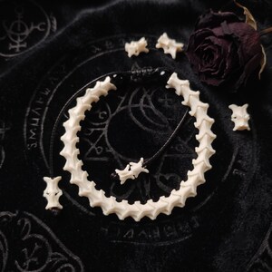 May include: A bracelet constructed from a series of off-white, bone-like vertebrae segments strung on a black cord. The adjustable cord features two small black beads and terminates in two additional vertebrae pieces at the ends of the ties.