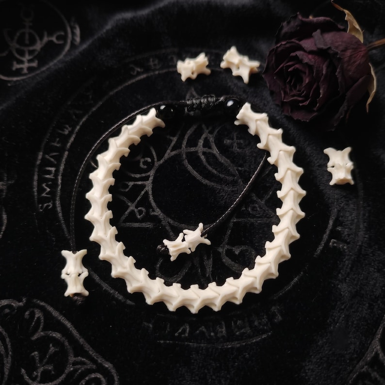 May include: A bracelet constructed from a series of off-white, bone-like vertebrae segments strung on a black cord. The adjustable cord features two small black beads and terminates in two additional vertebrae pieces at the ends of the ties.