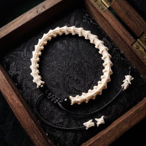 Peut inclure: Un bracelet composé d'une série d'os de vertèbres segmentés blanc cassé disposés en cercle. La pièce présente deux perles noires rondes et lisses, fixée par un cordon noir terminé par de petits accents en os aux extrémités du lien ajustable.