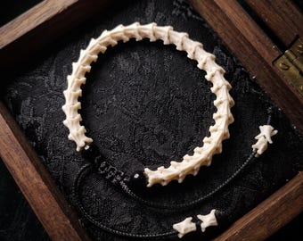 King Cobra Vertebrae Bracelet – Real Snake Bone Jewelry | Snake