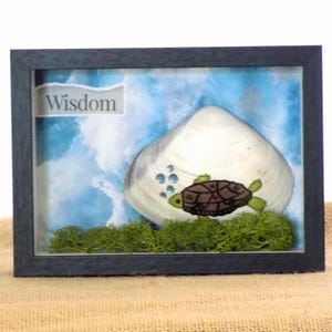 May include: A black shadow box frame containing a large white seashell, a small brown and green turtle illustration, and blue bubbles. The background features a blue and white sky pattern with the word Wisdom printed on a white rectangular label.