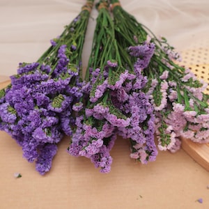 May include: Three bundles of dried statice flowers featuring a gradient of purple shades, ranging from deep violet to light lavender. Each bunch has long, thin green stems tied together at the base, showcasing small, textured, papery flower clusters.