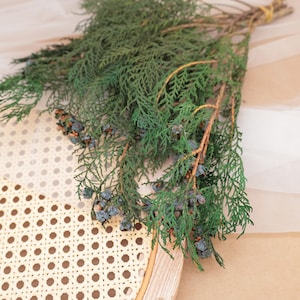Könnte beinhalten: Ein Bündel dunkelgrüner Zedernzweige mit kleinen, runden, staubig blauen Beeren, befestigt an einem runden Holzrahmen mit einem hellbeigen Geflecht aus Wiener Geflecht. Die Zweige sind mit einem dünnen gelben Gummiband zusammengebunden.