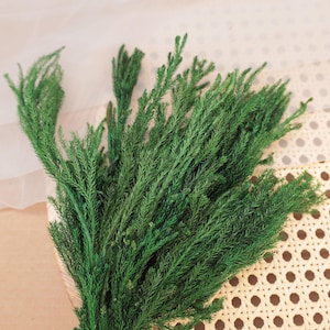 May include: A bundle of vibrant green, needle-like foliage stems with a dense, feathery texture. The stems are long and slender, branching out into numerous fine, pointed leaves that create a lush, natural appearance for decorative arrangements.