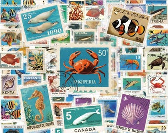Pacote com 50 adesivos postais marítimos, adesivos transparentes de PET, adesivos de animais marinhos, adesivos de selos oceânicos para álbuns de recortes e diários.