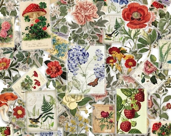 50 STÜCKE Vintage botanische Aufkleber, klare Aufkleber, Blumenaufkleber, botanische Aufkleber, Gartenaufkleber für Herbarien, Naturzeitschriften