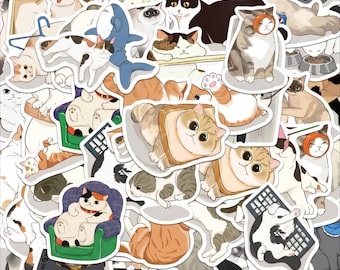 Pacote com 50 adesivos de gato preguiçoso, adesivos fofos, adesivos engraçados, adesivos kawaii, adesivos de desenho animado para donos de gatos, capas de laptop, álbuns de animais de estimação.