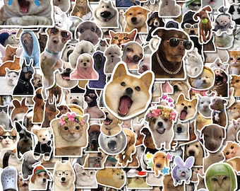 200 STÜCKE Lustiger Haustier Meme Aufkleber, Fotoaufkleber, niedliche Aufkleber, Alberne Aufkleber, Tieraufkleber für Haustierbesitzer, Wasserflaschen, Laptops