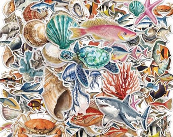 50 STÜCKE Vintage Ocean Sticker Pack, klare Aufkleber, aquatische Aufkleber, Meeresaufkleber für Strandjournale, Aquariumnotizen, Meeresliebhaber