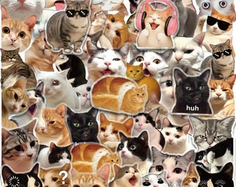 50 STÜCKE Katze Meme Aufkleber, lustige Aufkleber, süße Aufkleber, klare Aufkleber, Foto Aufkleber für Katzenliebhaber, Tierjournale, Laptophüllen