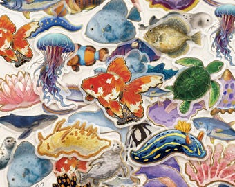 Pacote com 50 adesivos de criaturas marinhas, adesivos com detalhes em folha de ouro, adesivos oceânicos, adesivos coloridos, adesivos marinhos para aquários, celulares e álbuns de recortes.