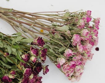 Dried roses, 2 colors （Pink   Purple) for home decoration and as holiday gifts