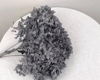 Dried Hydrangea – perfect for home styling, tea room accents, and art gallery decor.